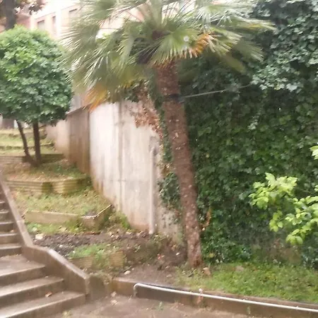 Pamphili 罗马